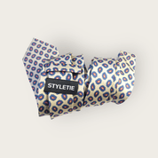 Ivory Blue Red Paisley Tie - STYLETIE