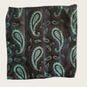 Black Green Paisley Silk Tie Pocket Square Set - STYLETIE