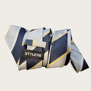 Blue Gray Stripe Tie - STYLETIE