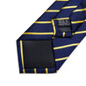 Navy Blue Yellow Stripe Boys Pre-tied Adjustable Neck Strap Tie - STYLETIE